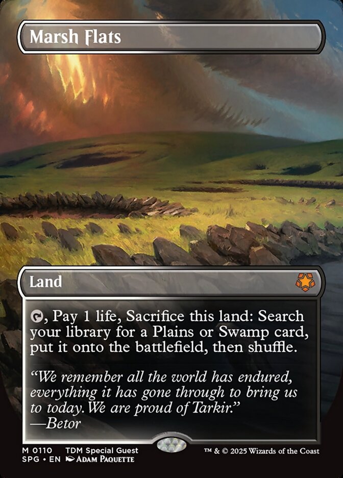 Marsh Flats - Borderless