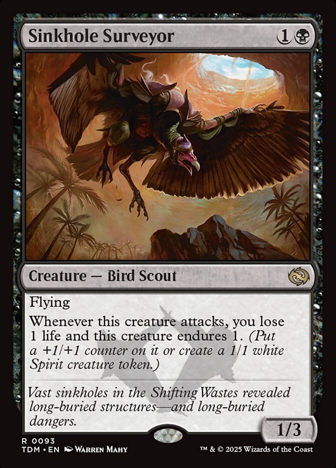 Sinkhole Surveyor - Foil