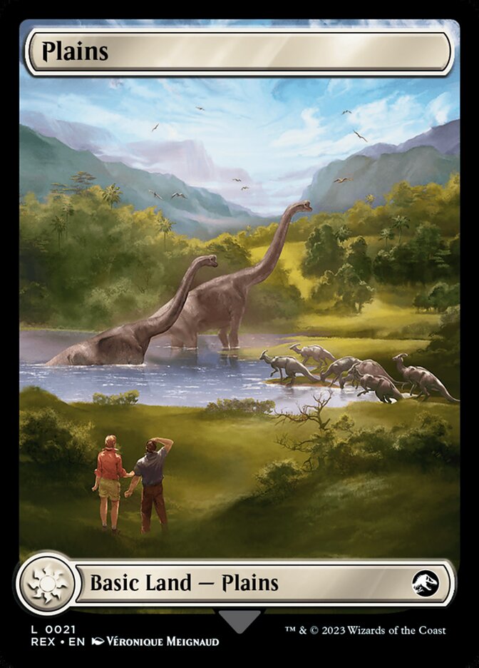 Plains // Plains - Full Art - Foil