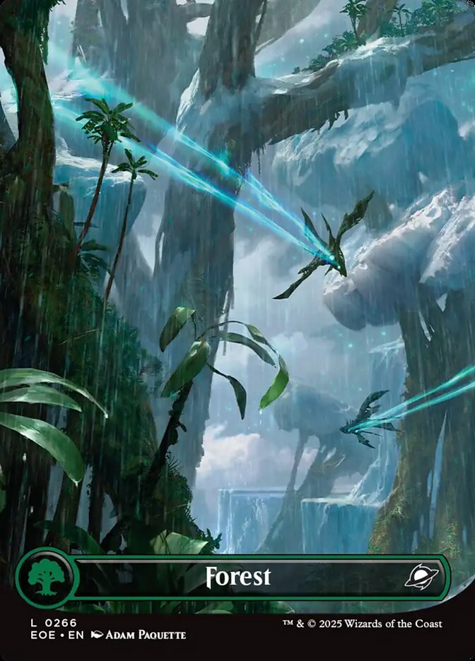 Forest - Borderless