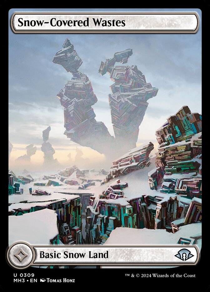 Snow-Covered Wastes - Full Art - Foil