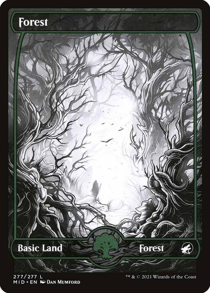 Forest - Full Art - Foil