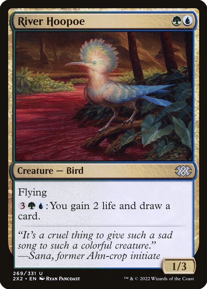 River Hoopoe - Foil