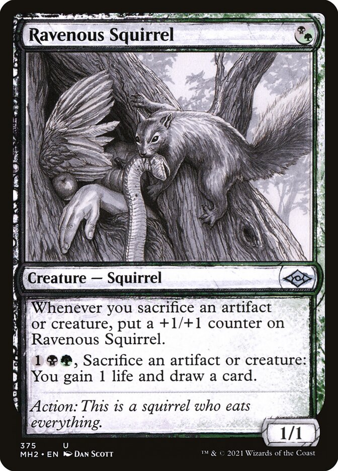 Ravenous Squirrel - Sketch Art - Foil