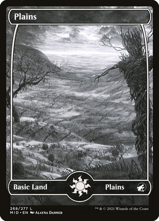 Plains - Full Art - Foil