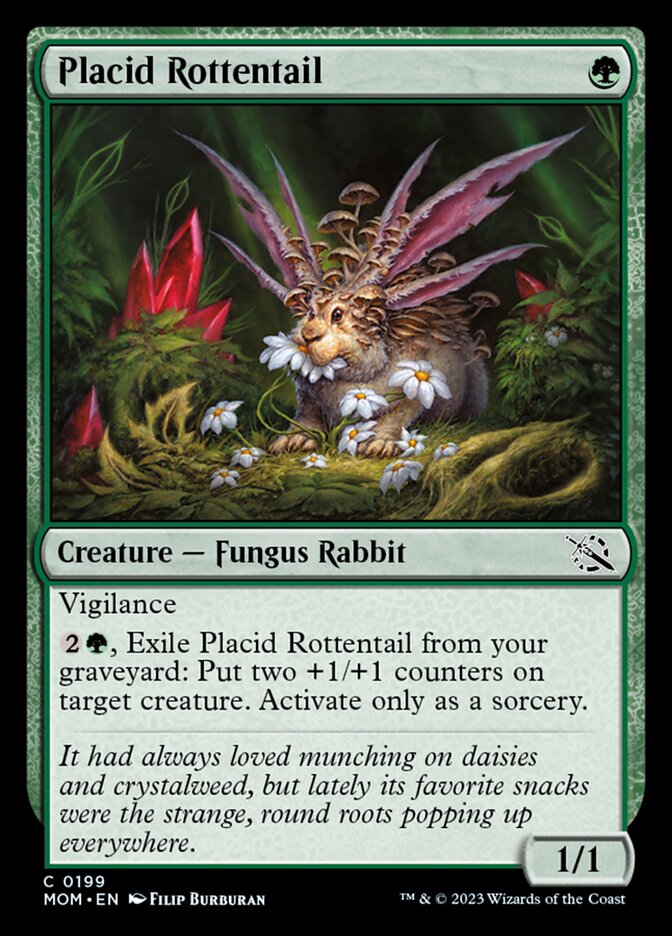 Placid Rottentail - Foil