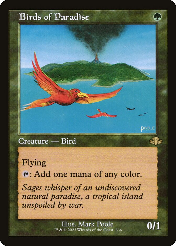 Birds of Paradise - Retro Frame - Foil