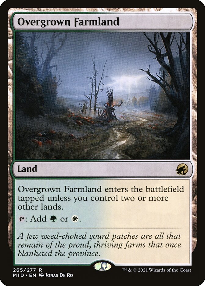 Overgrown Farmland - Foil