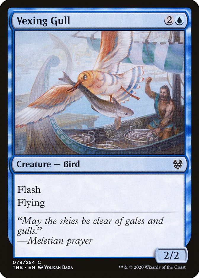 Vexing Gull - Foil