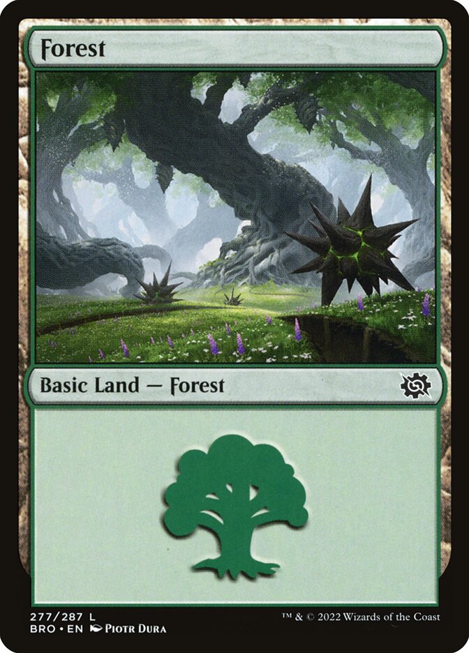 Forest - Foil