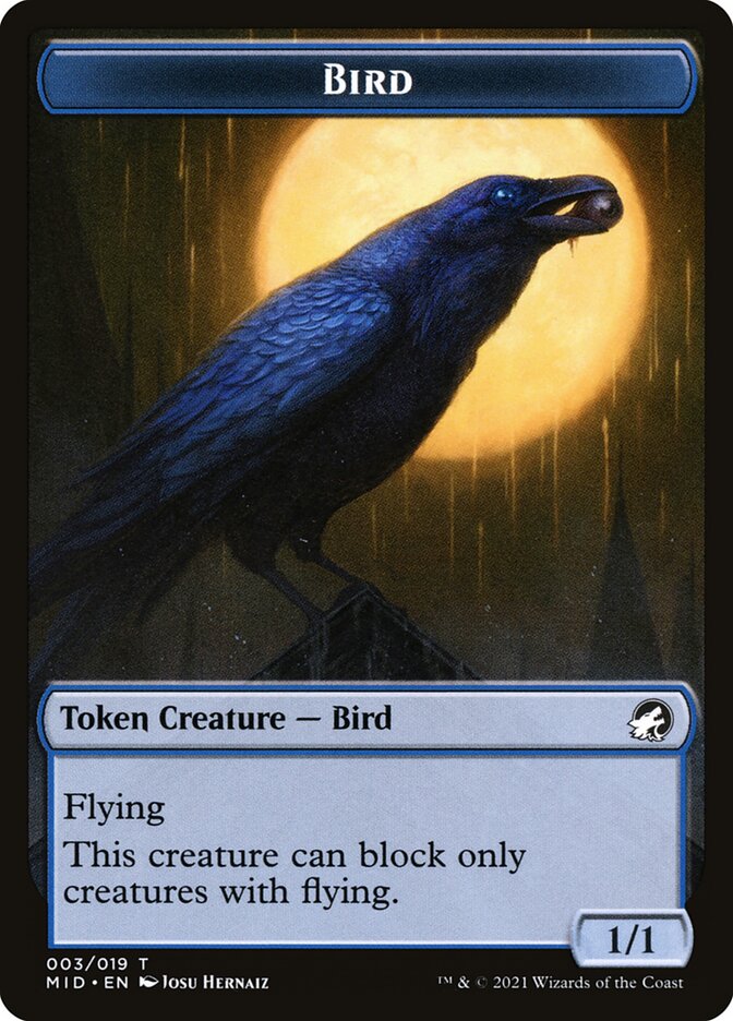 Bird - Borderless