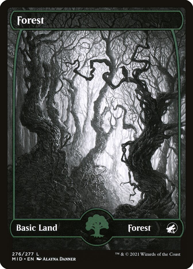 Forest - Full Art - Foil