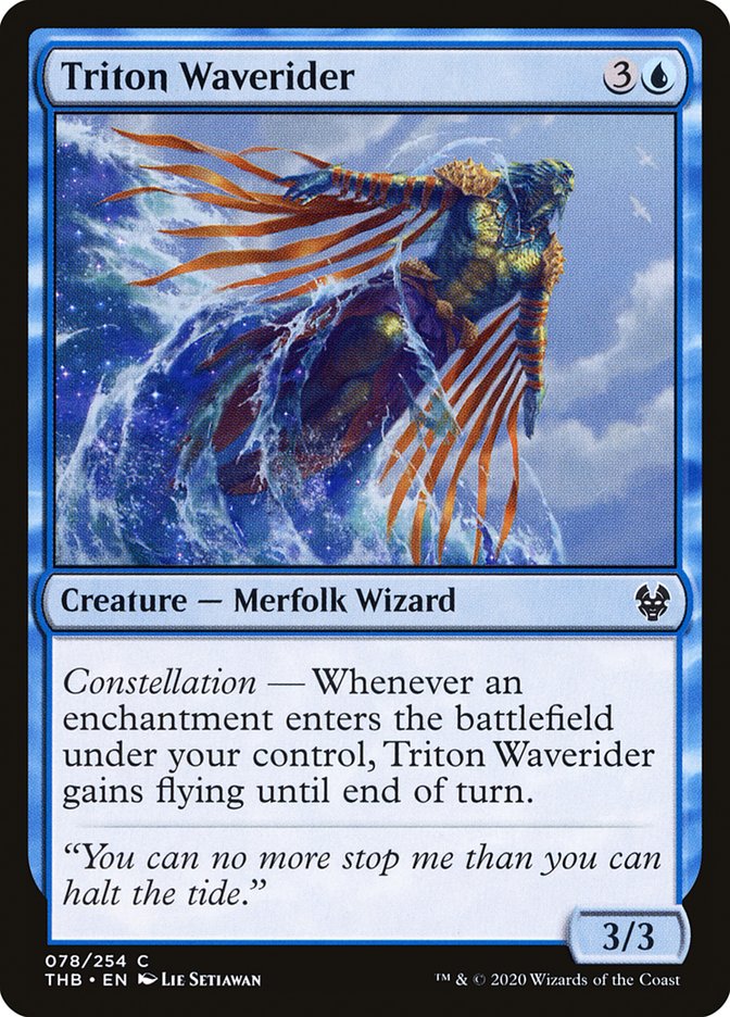 Triton Waverider - Foil