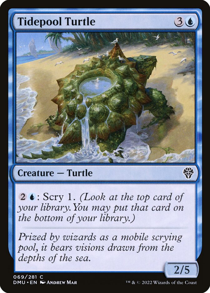 Tidepool Turtle - Foil