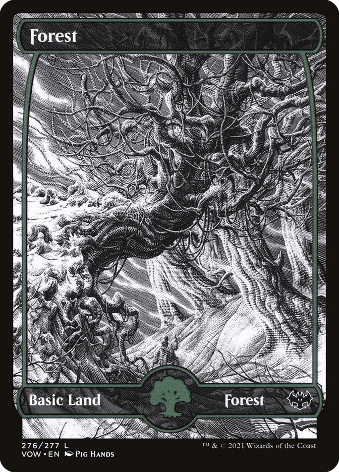 Forest - Foil