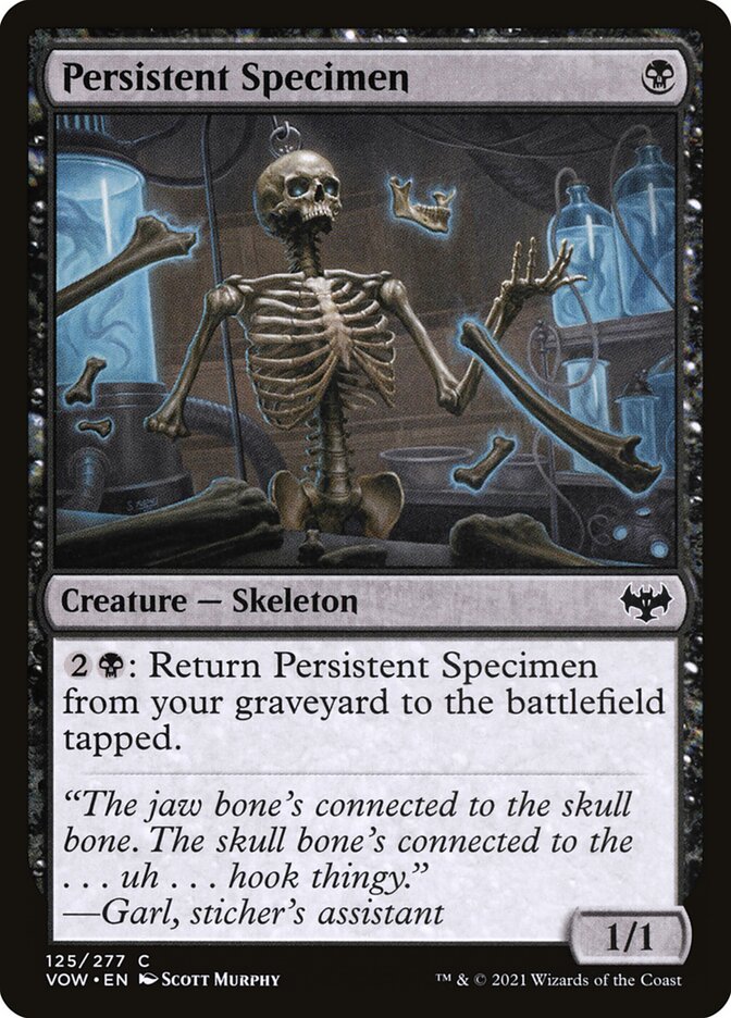 Persistent Specimen - Foil