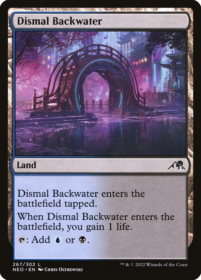 Dismal Backwater - Foil